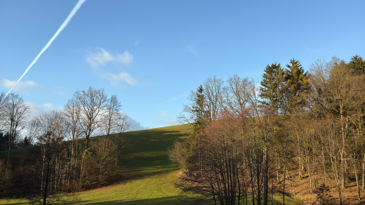 Landschaft Oberösterreich Wald blauer Himmel