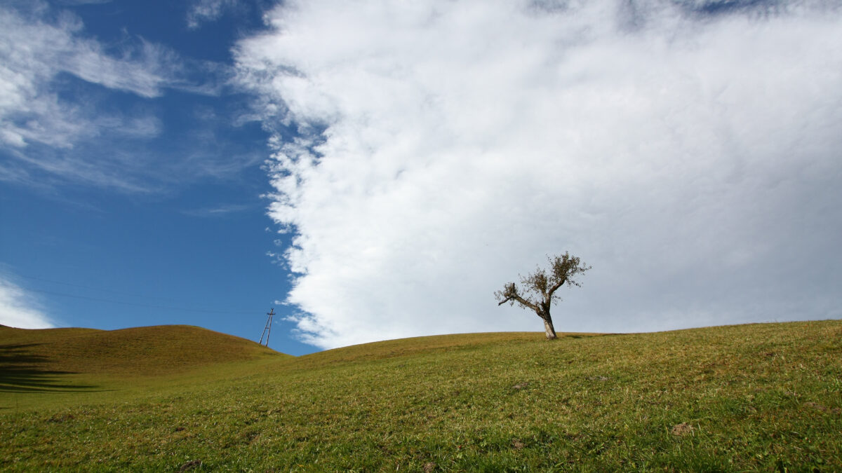 Landschaft Oberösterreich Wald blauer Himmel