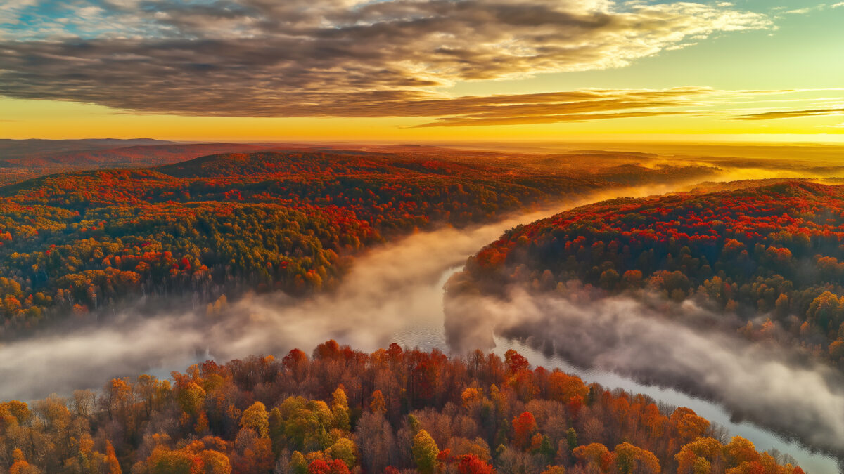 Landschaft Wald im Herbst mit Fluss